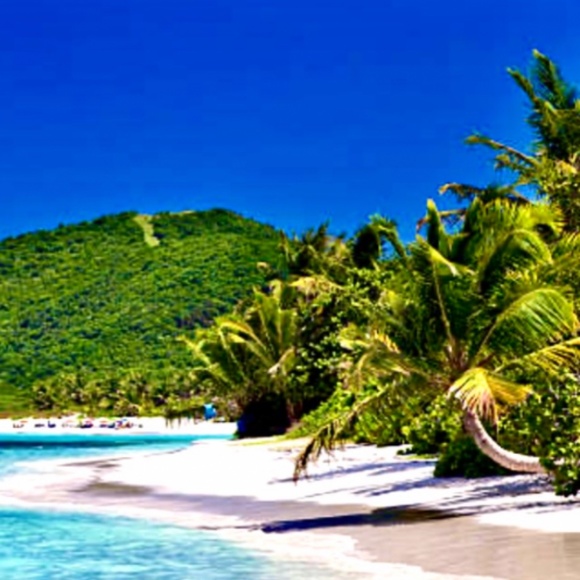 Meet your Posher, Hayden - Picture 4 of 12